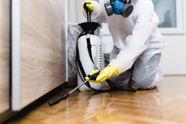 Best Pest Inspection Near Me  in Dauphin Island, AL