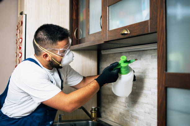 Best Mosquito Control Services  in Dauphin Island, AL