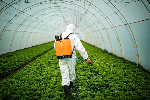 Best Mosquito Control Services  in Dauphin Island, AL