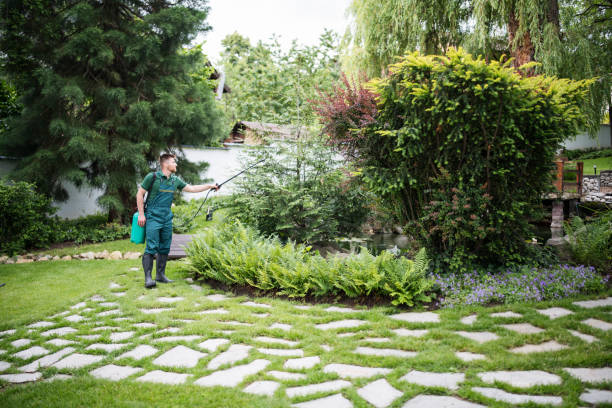Best Local Pest Control Services  in Dauphin Island, AL