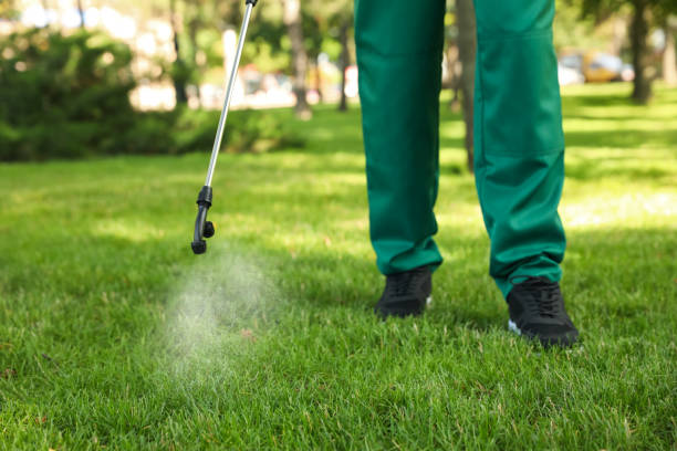 Best Pest Inspection Near Me  in Dauphin Island, AL