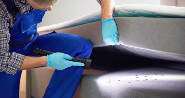 Best Commercial Pest Control Services  in Dauphin Island, AL